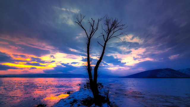 Lone tree lake sunset colorful free wallpaper for desktop - medium preview image