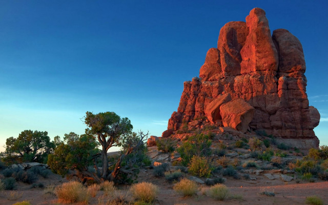 Desert rock formation trees bushes free wallpaper for desktop - medium preview image