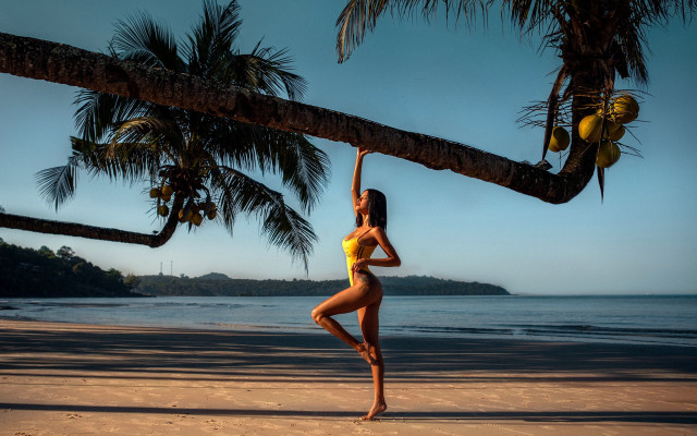 Woman beach palm sunset fireworks free wallpaper for desktop - medium preview image