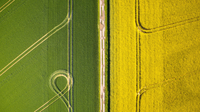 Heart field tractor land art free wallpaper for desktop - medium preview image