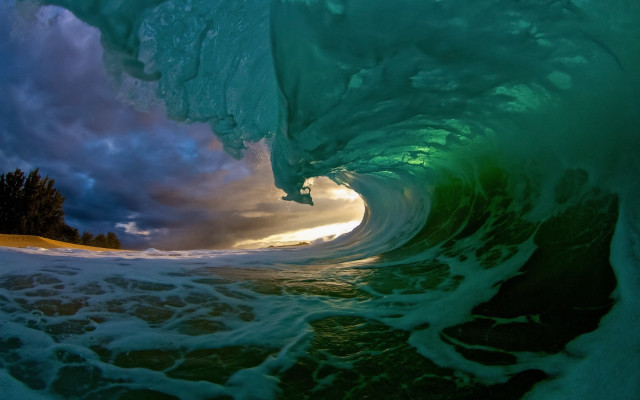 Large wave sunset ocean tree free wallpaper for desktop - medium preview image