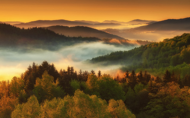 Foggy forest sunset mountains lake free wallpaper for desktop - medium preview image