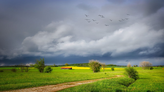 Field barn birds cloudy stormy free wallpaper for desktop - medium preview image