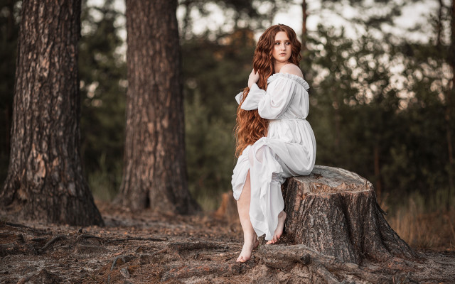 Woman white dress tree stump #3 free wallpaper for desktop - medium preview image