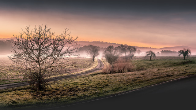 Misty tree road sunset horizon free wallpaper for desktop - medium preview image