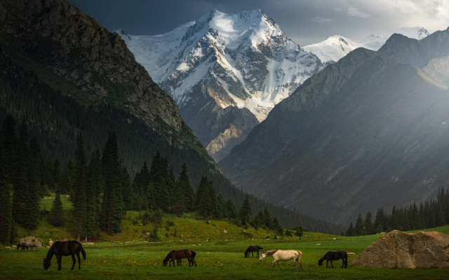 Horses grazing mountains clouds outdoors free wallpaper for desktop - medium preview image