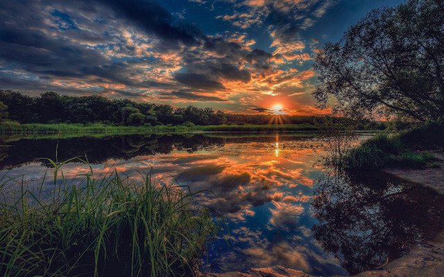 Sunset lake tree grass clouds free wallpaper for desktop - medium preview image