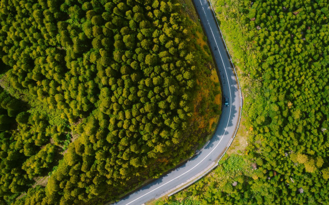 Winding road forest car nature free wallpaper for desktop - medium preview image