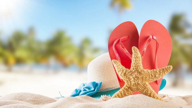 Flipflops starfish beach sand trees free wallpaper for desktop - medium preview image