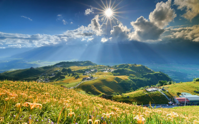 Flower field hill sunbeam clouds free wallpaper for desktop - medium preview image