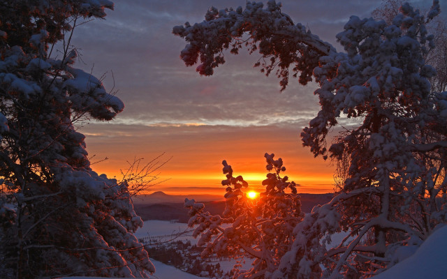 Sunset snowy forest distant sun free wallpaper for desktop - medium preview image