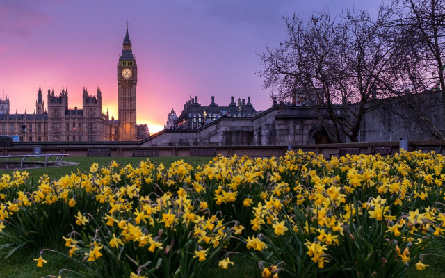 Flower field clock tower autumn free wallpaper for desktop - medium preview image
