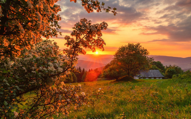 Sunset house field flowers autumn free wallpaper for desktop - medium preview image