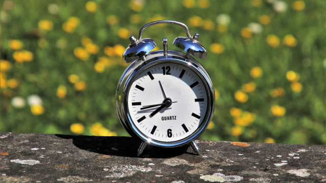 Clock rock flower field bokeh free wallpaper for desktop - medium preview image
