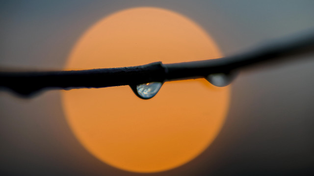 Water drop sunset macro blurry free wallpaper for desktop - medium preview image
