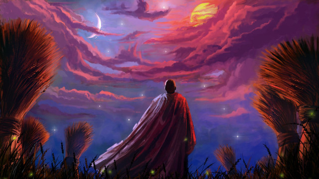 Man field red cape purple free wallpaper for desktop - medium preview image