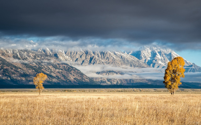 Field tree mountains clouds sunset free wallpaper for desktop - medium preview image