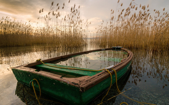 Green boat reeds water sky free wallpaper for desktop - medium preview image