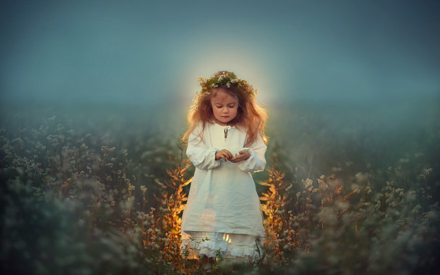 Little girl flower field halo free wallpaper for desktop - medium preview image