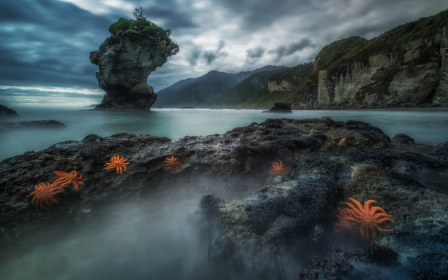 Rock formation sea stars cloudy free wallpaper for desktop - medium preview image