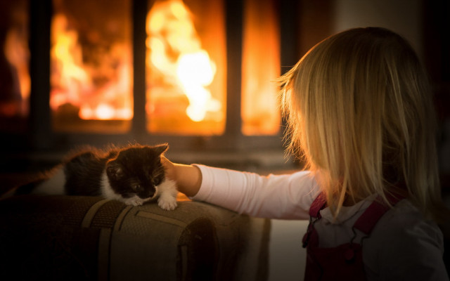 Little girl petting cat fireplace free wallpaper for desktop - medium preview image
