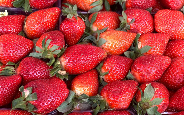 Strawberry basket closeup food berry free wallpaper for desktop - medium preview image