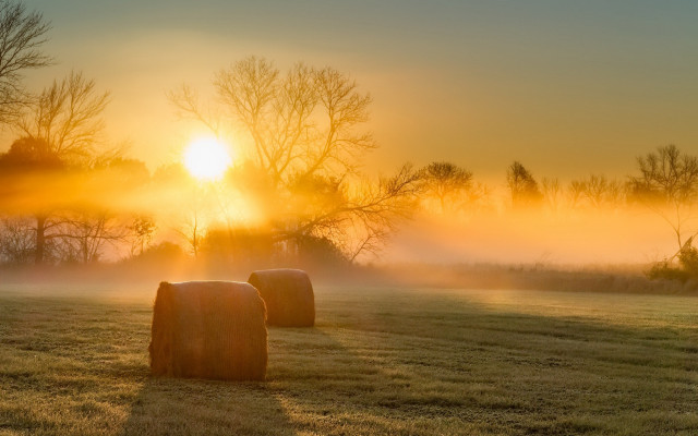 Hay bales foggy sunset volumetric free wallpaper for desktop - medium preview image