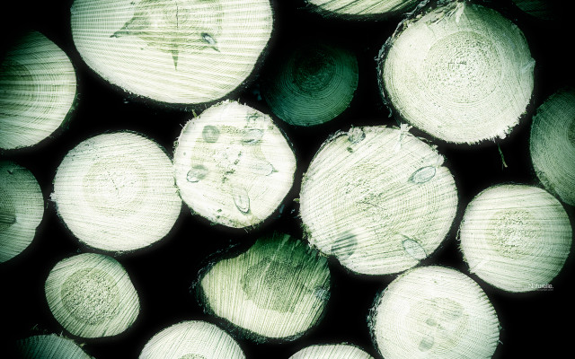 Wood pile halved stacked black free wallpaper for desktop - medium preview image
