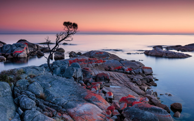 Lone tree rocks water sunset free wallpaper for desktop - medium preview image