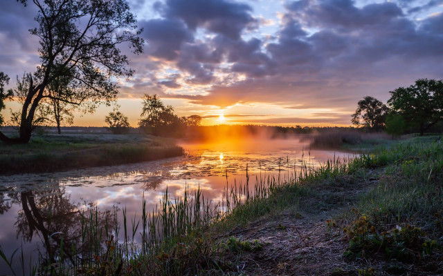 Sunset river clouds trees cityscape free wallpaper for desktop - medium preview image