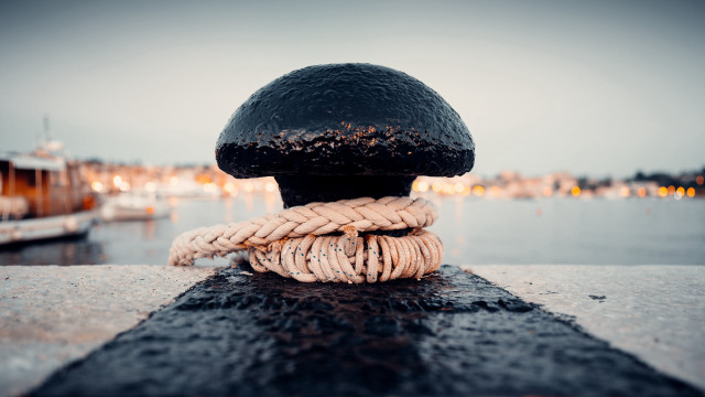 Mushroom woodenpost water boats shallowblur free wallpaper for desktop - medium preview image