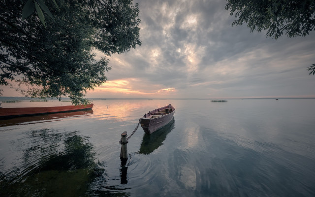 Boat tree man pole water free wallpaper for desktop - medium preview image