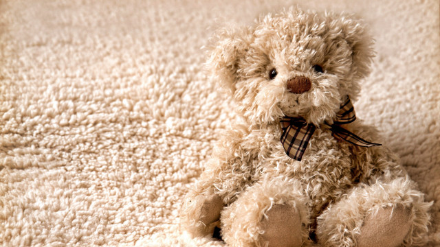 Teddy bear white carpet bow free wallpaper for desktop - medium preview image
