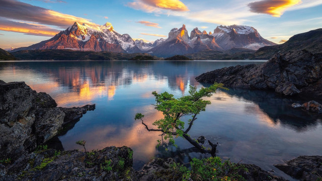 Tree shore lake mountains sunset free wallpaper for desktop - medium preview image