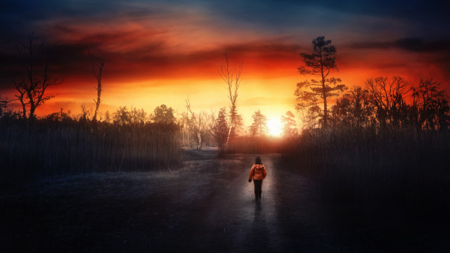 Sunset woods path person cinematic free wallpaper for desktop - medium preview image