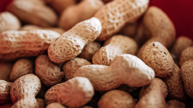 Peanuts red tablecloth red container free wallpaper for desktop - medium preview image