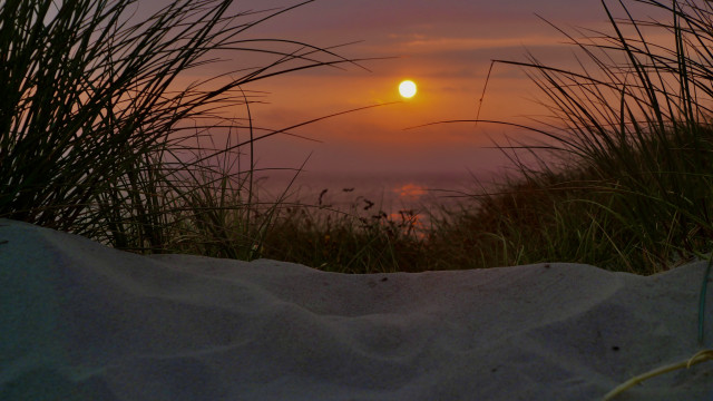 Sunset ocean grass sand dunes free wallpaper for desktop - medium preview image