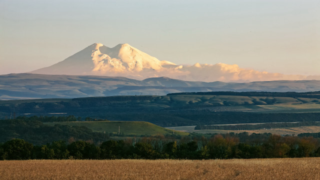 Mountain snow peak trees field #2 free wallpaper for desktop - medium preview image