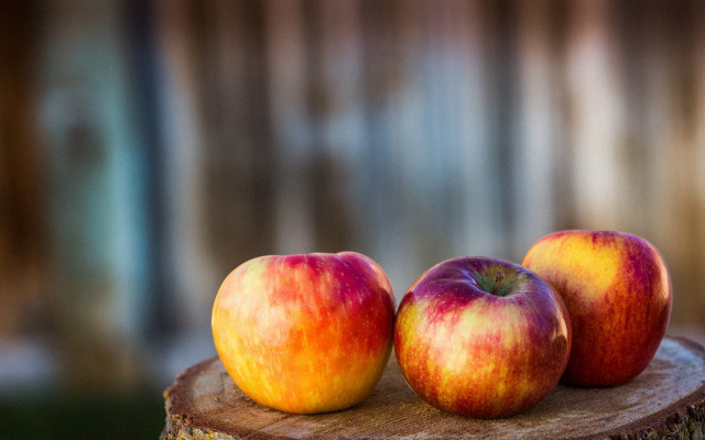 Three apples wooden stump fall free wallpaper for desktop - medium preview image