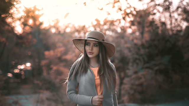 Elina karimova park sun flare free wallpaper for desktop - medium preview image