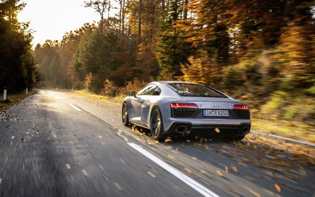 Silver car forest road sunset free wallpaper for desktop - medium preview image