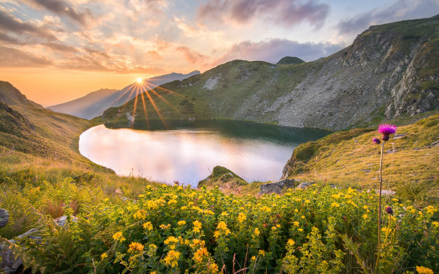 Lake mountains flower sunset nature free wallpaper for desktop - medium preview image