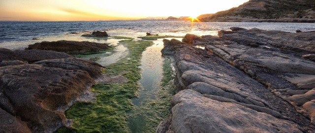 Sunset rocky beach green algae #2 free wallpaper for desktop - medium preview image