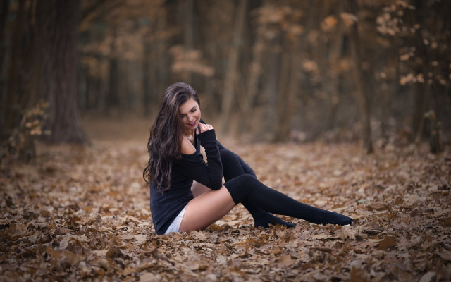 Woman forest sitting autumn blurry free wallpaper for desktop - medium preview image