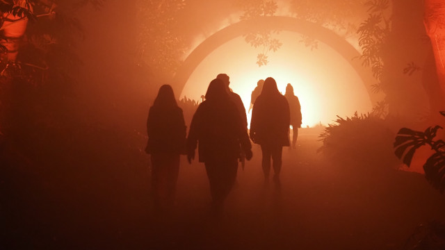 Foggy forest night sunset silhouette free wallpaper for desktop - medium preview image