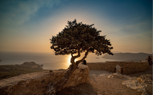 Tree cliff sunset person rock free wallpaper for desktop - medium preview image