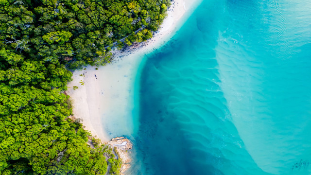 Beach sandy shore forest aerial free wallpaper for desktop - medium preview image