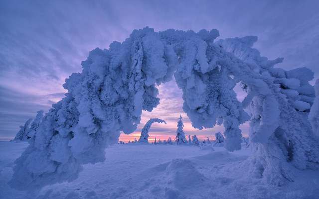 Snow arch winter pink sky free wallpaper for desktop - medium preview image