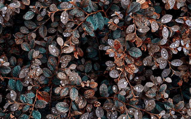 Ice leaves red stop pokemon free wallpaper for desktop - medium preview image