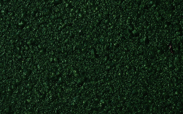 Green waterdroplets red object forest free wallpaper for desktop - medium preview image